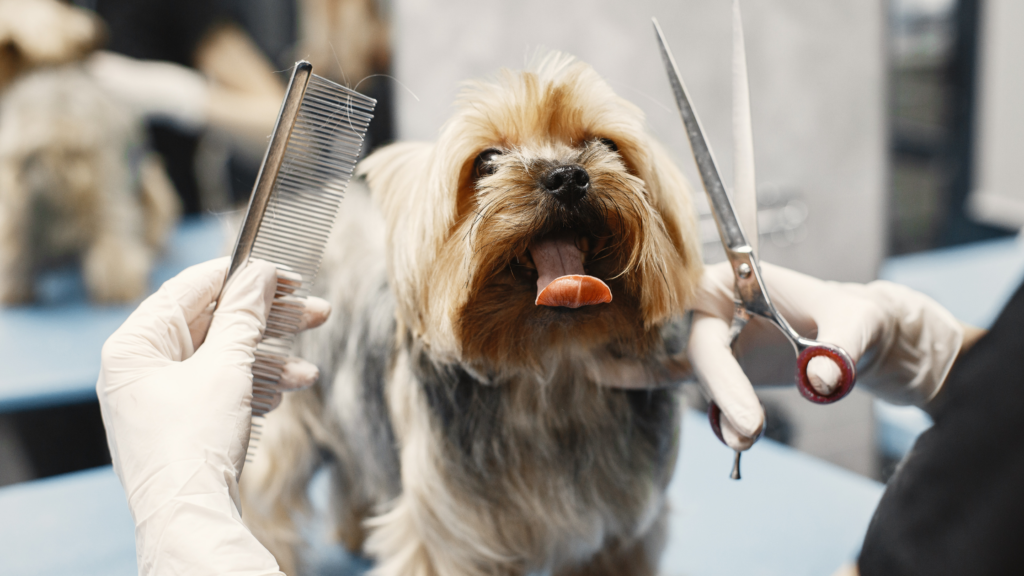 groomers